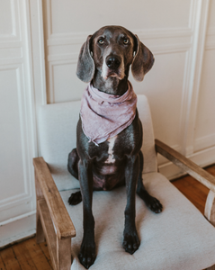 ice-dyed bandana