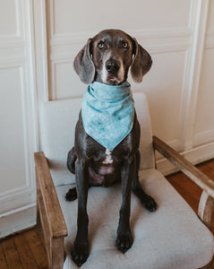 ice-dyed bandana